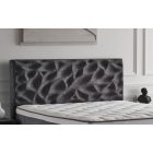 Florida Ágykeret, Szürke